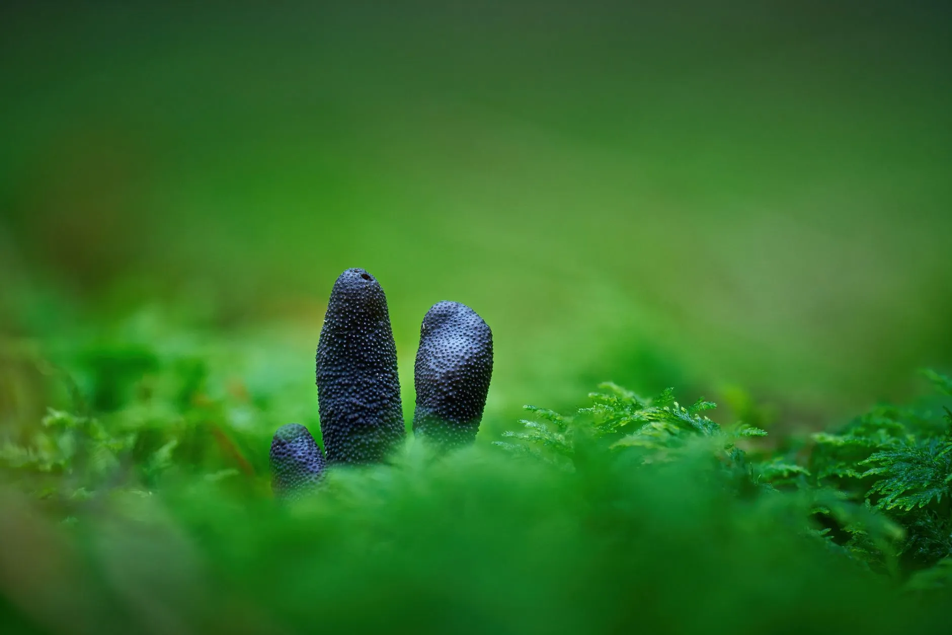 工业自动化机械设计中的模块化应用与效率提升